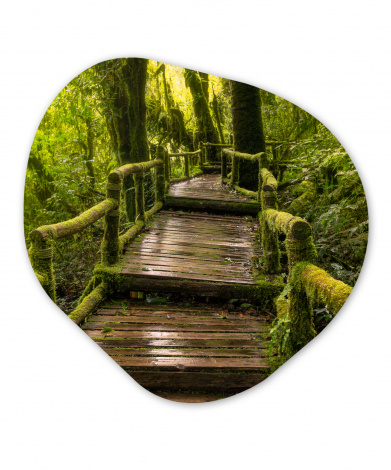 Organisches wandbild - Schöner Regenwald und Dschungel-thumbnail-1