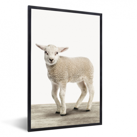 Poster mit Rahmen - Lamm - Schaf - Tiere - Kinder - Mädchen - Jungen - Vertikal-1