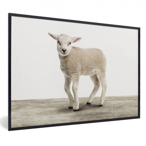 Poster mit Rahmen - Lamm - Schaf - Tiere - Kinder - Mädchen - Jungen - Horizontal-1