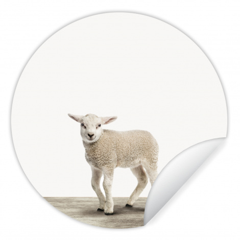 Runde Tapete - Lamm - Schaf - Tiere - Kinder - Mädchen - Jungen-1