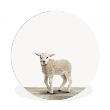 Runde Bilder - Lamm - Schaf - Tiere - Kinder - Mädchen - Jungen-thumbnail-1