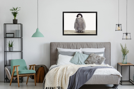 Poster mit Rahmen - Kinder - Pinguin - Grau - Tiere - Mädchen - Jungen - Horizontal-thumbnail-4
