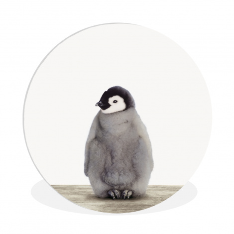 Runde Bilder - Kinder - Pinguin - Grau - Tiere - Mädchen - Jungen