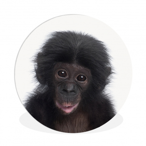 Runde Bilder - Affe - Schimpanse - Porträt - Kinder - Jungen - Mädchen-1