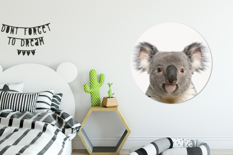 Behangcirkel - Koala - Koala beer - Meisjes - Jongens - Kinderen - Dieren-thumbnail-2