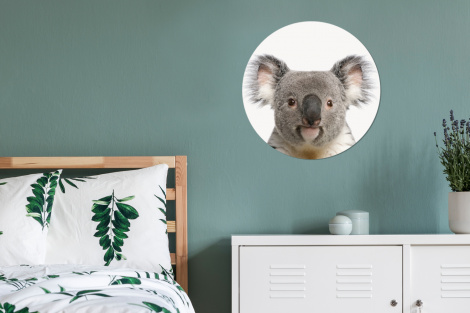 Runde Bilder - Koala - Koala Bär - Mädchen - Jungen - Tiere-thumbnail-4