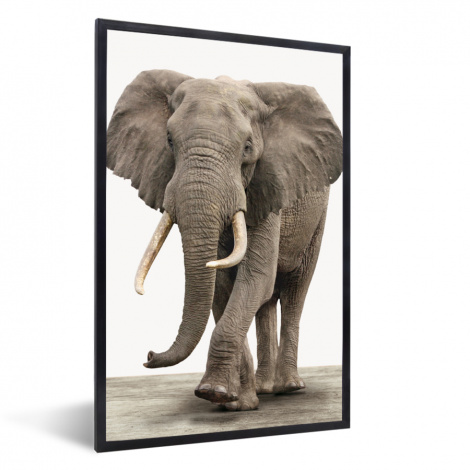 Poster mit Rahmen - Elefant - Kinder - Tiere - Mädchen - Vertikal