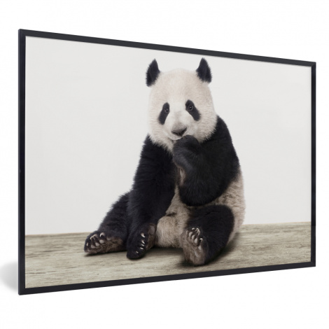 Poster mit Rahmen - Panda - Tiere - Jungen - Mädchen - Pandabär - Horizontal