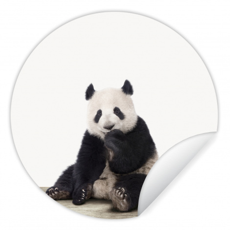 Behangcirkel - Panda - Dieren - Kinderen - Jongens - Meisjes - Pandabeer-thumbnail-1