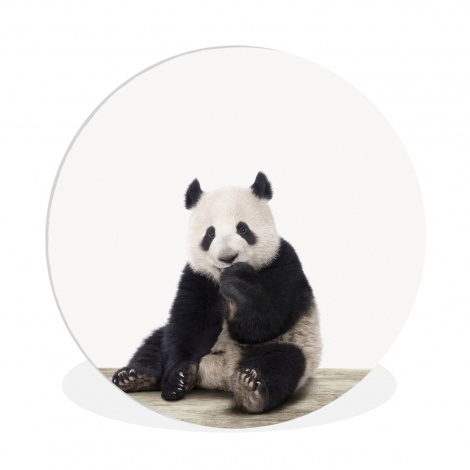 Muurcirkel - Panda - Dieren - Kinderen - Jongens - Meisjes - Pandabeer-thumbnail-1
