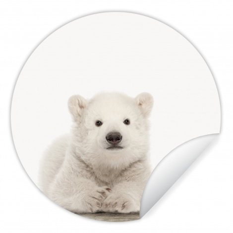 Runde Tapete - Eisbär - Tiere - Kinder - Weiß - Jungen - Mädchen
