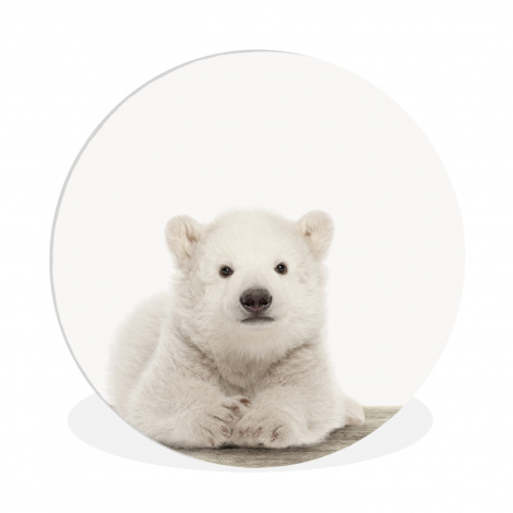 Runde Bilder - Eisbär - Tiere - Kinder - Weiß - Jungen - Mädchen-thumbnail-1