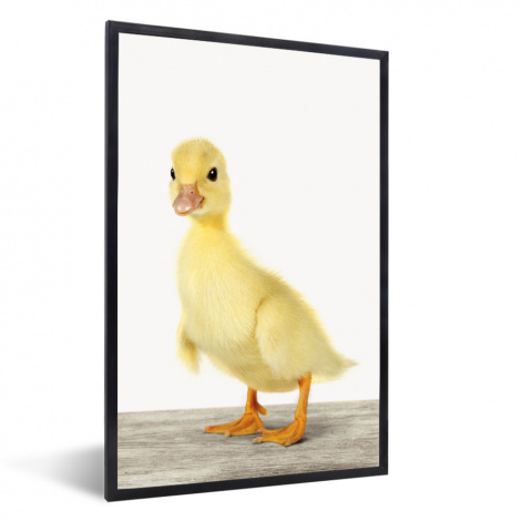 Poster mit Rahmen - Ente - Küken - Tiere - Süß - Mädchen - Jungen - Kinder - Vertikal-1