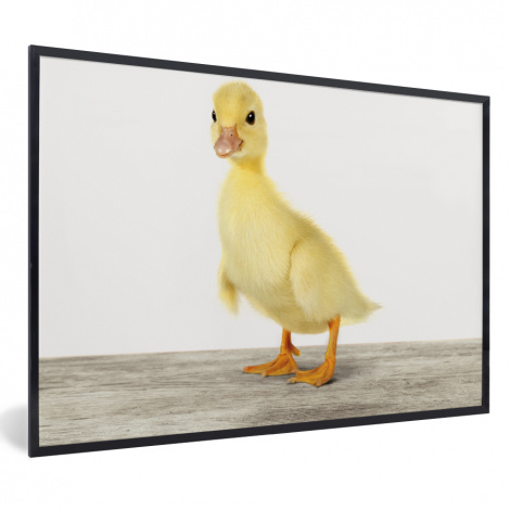 Poster mit Rahmen - Ente - Küken - Tiere - Süß - Mädchen - Jungen - Kinder - Horizontal-thumbnail-1