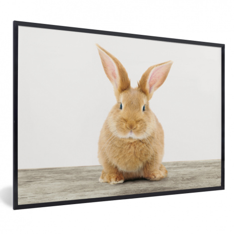 Poster mit Rahmen - Kaninchen - Babykaninchen - Tiere - Kinder - Mädchen - Jungen - Horizontal-thumbnail-1