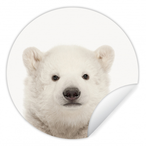 Runde Tapete - Eisbär - Tiere - Weiß - Kinder - Jungen - Mädchen-thumbnail-1