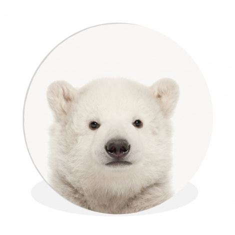 Runde Bilder - Eisbär - Tiere - Weiß - Kinder - Jungen - Mädchen-thumbnail-1