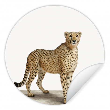 Runde Tapete - Leopard - Tiere - Weißer Hintergrund - Kinder - Jungen - Mädchen-1