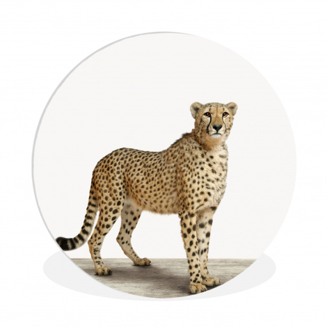 Runde Bilder - Leopard - Tiere - Weißer Hintergrund - Kinder - Jungen - Mädchen-thumbnail-1