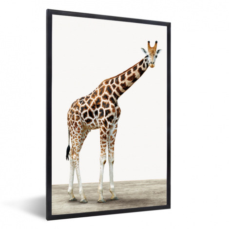 Poster met lijst - Giraffe - Dieren - Witte achtergrond - Kinderen - Jongen - Meisje - Staand-1
