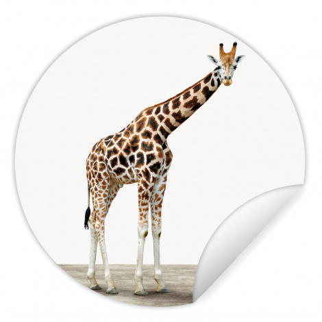 Runde Tapete - Giraffe - Tiere - Weißer Hintergrund - Kinder - Junge - Mädchen