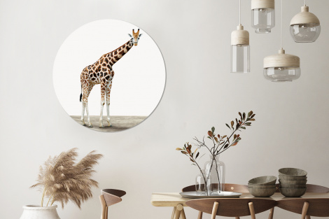 Runde Tapete - Giraffe - Tiere - Weißer Hintergrund - Kinder - Junge - Mädchen-3