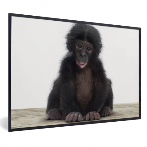 Poster mit Rahmen - Kind - Affe - Schimpanse - Babytiere - Jungen - Mädchen - Horizontal