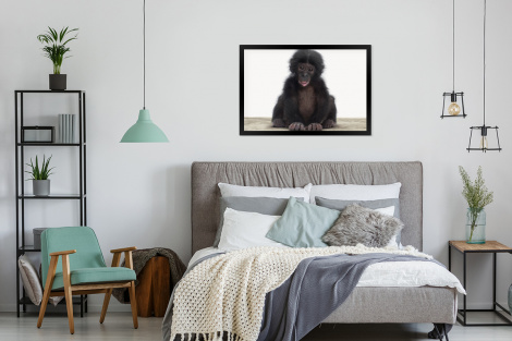 Poster mit Rahmen - Kind - Affe - Schimpanse - Babytiere - Jungen - Mädchen - Horizontal-thumbnail-4