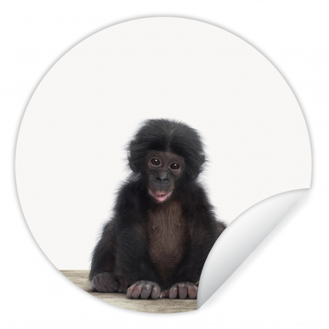 Runde Tapete - Kind - Affe - Schimpanse - Babytiere - Jungen - Mädchen-1