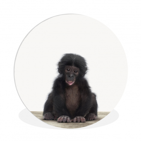 Muurcirkel - Kind - Aap - Chimpansee - Baby dieren - Jongens - Meiden