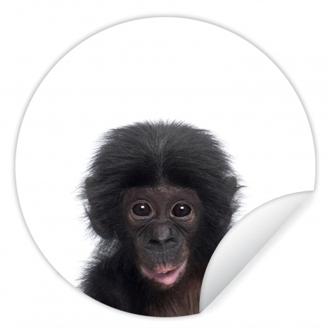 Runde Tapete - Affe - Tiere - Schimpanse - Kind - Junge-thumbnail-1