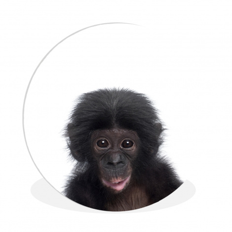 Runde Bilder - Affe - Tiere - Schimpanse - Kind - Junge-thumbnail-1