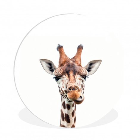 Muurcirkel - Wilde dieren - Giraffe - Kinderen - Jongen - Dieren