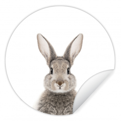 Runde Tapete - Tiere - Kaninchen - Weiß - Kinder - Mädchen-thumbnail-1