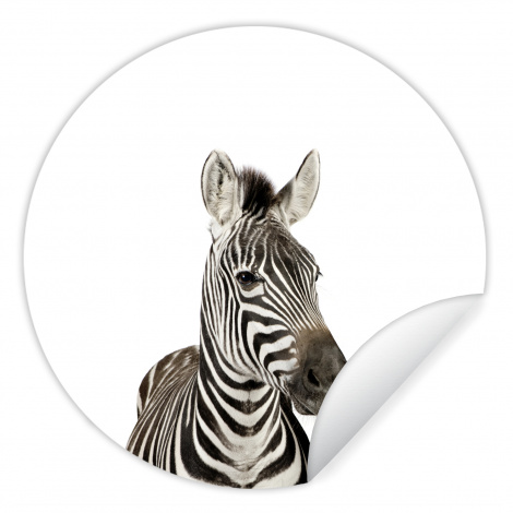 Runde Tapete - Tiere - Zebra - Kinder - Weiß - Porträt - Mädchen