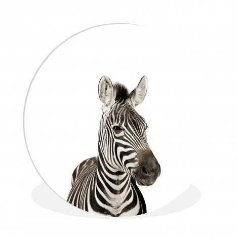 Runde Bilder - Tiere - Zebra - Kinder - Weiß - Porträt - Mädchen-1