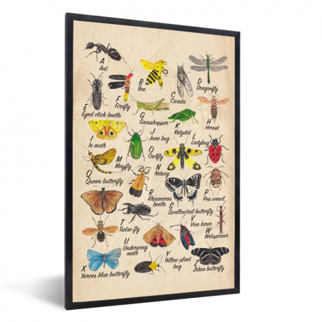 Poster met lijst - Alfabet - Insecten - Educatief - Retro - Bruin - Jongens - Meid - Kinderen - Staand-1