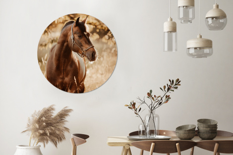 Behangcirkel - Paard - Zon - Portret - Natuur - Bruin-3