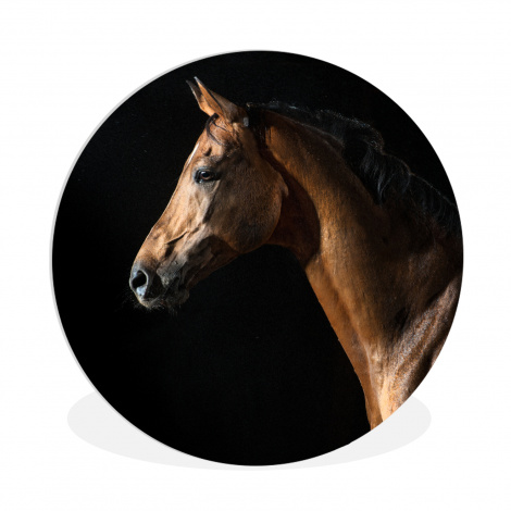 Runde Bilder - Pferd - Tiere - Nacht - Schwarz-1
