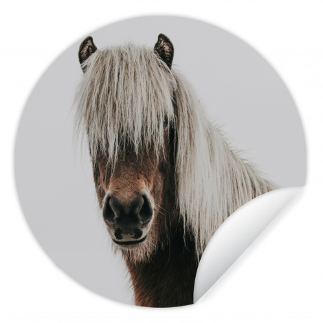 Behangcirkel - Paarden - Dieren - Portret - Bruin - Wit-thumbnail-1
