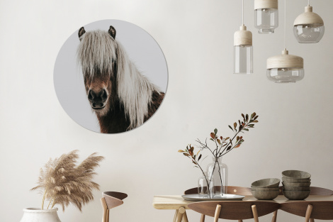 Behangcirkel - Paarden - Dieren - Portret - Bruin - Wit-3
