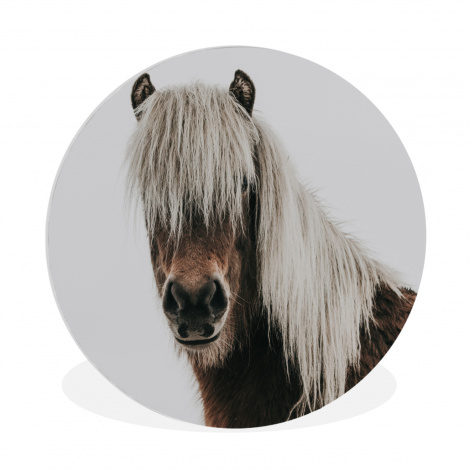 Muurcirkel - Paarden - Dieren - Portret - Bruin - Wit-thumbnail-1