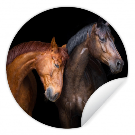 Behangcirkel - Paarden - Dieren - Portret - Bruin