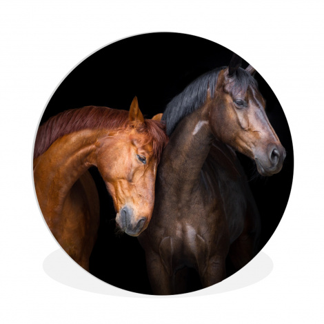 Muurcirkel - Paarden - Dieren - Portret - Bruin-1