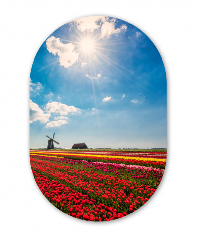 Muurovaal - Indrukwekkend tulpenveld in Nederland-thumbnail-1