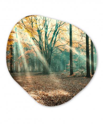 Organisches wandbild - Herbstwald in den Niederlanden-thumbnail-1