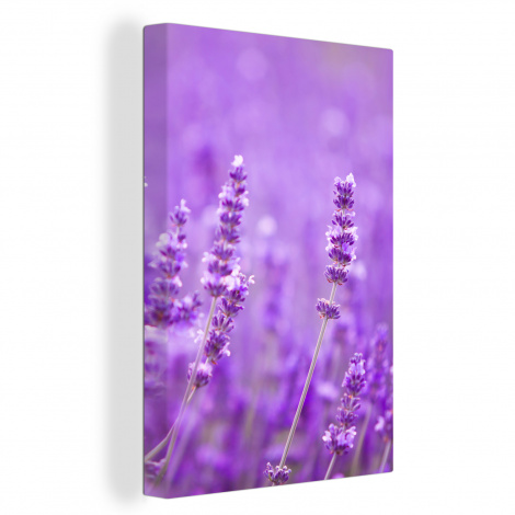 Leinwand - Lavendel - Nahaufnahme - Blumen - Lila-thumbnail-1