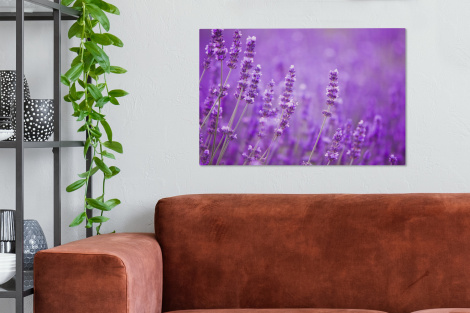 Canvas schilderij - Lavendel - Close-up - Bloemen - Paars-thumbnail-2