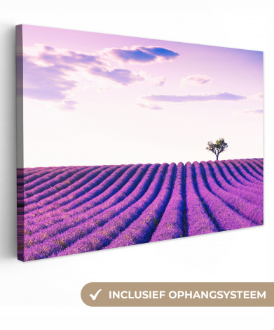 Canvas schilderij - Lavendel - Bomen - Paars - Bloemen-thumbnail-1