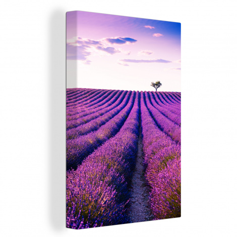 Leinwand - Lavendel - Bäume - Lila - Blumen-1